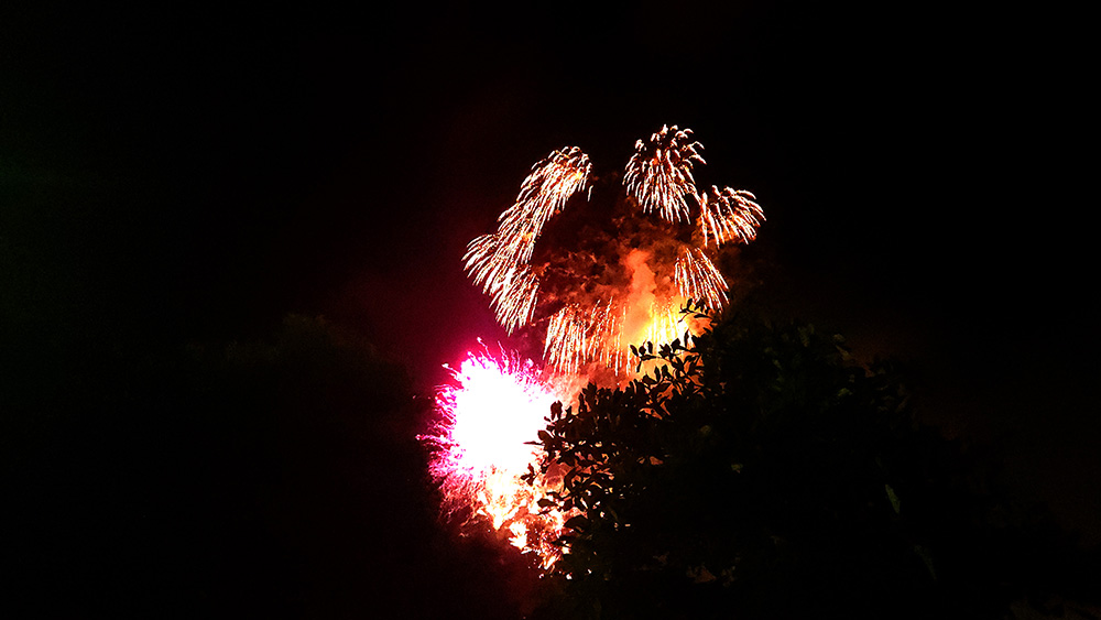 Image: Fireworks at night in the Esplanade, Boston MA