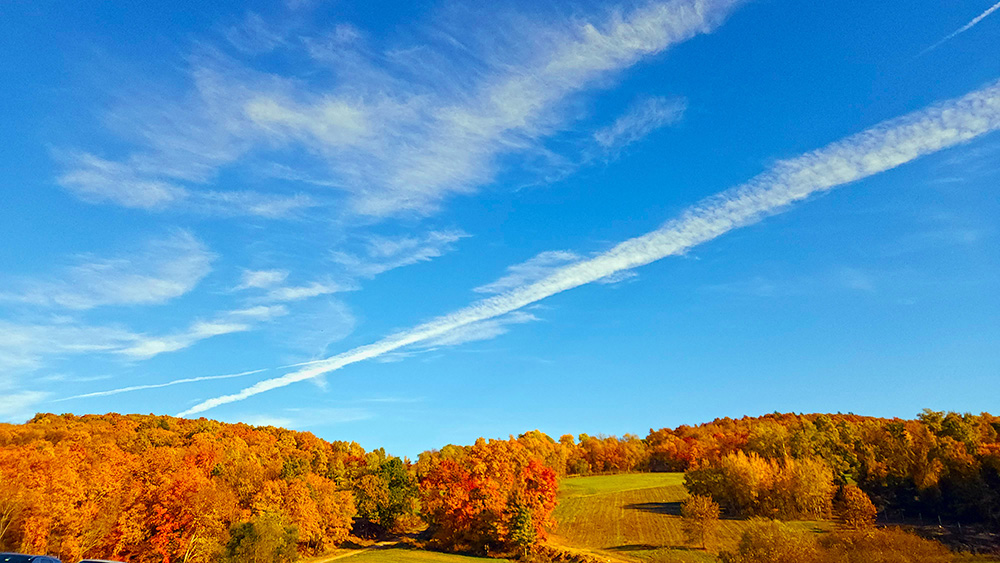 Image: A Scenic Hillside with a beautiful fall colours.